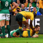 Wallabies