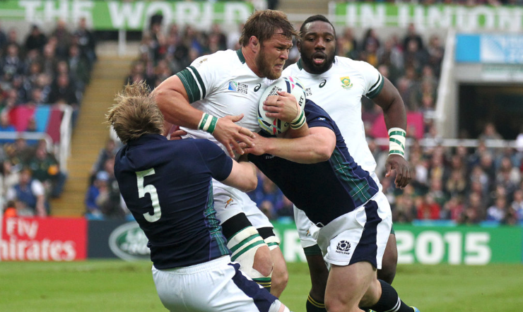 Preview: Scotland vs Springboks