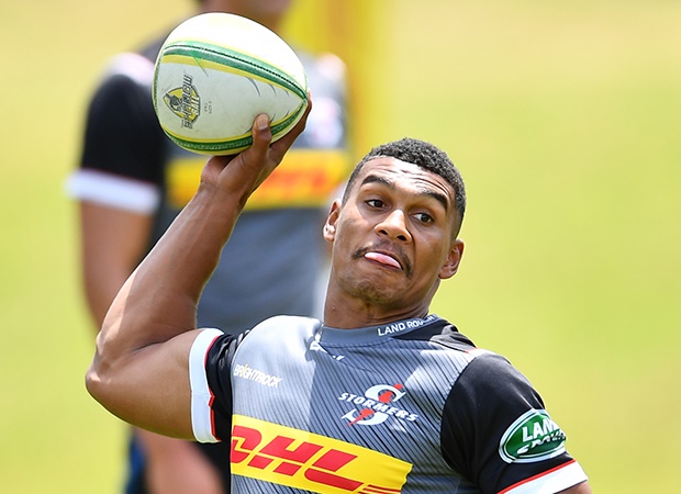 Continue to back Willemse says MoneyBoy
