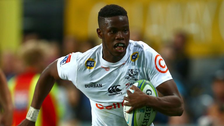 MoneyBoy Thoughts: The promising strength of the Sharks and Stormers