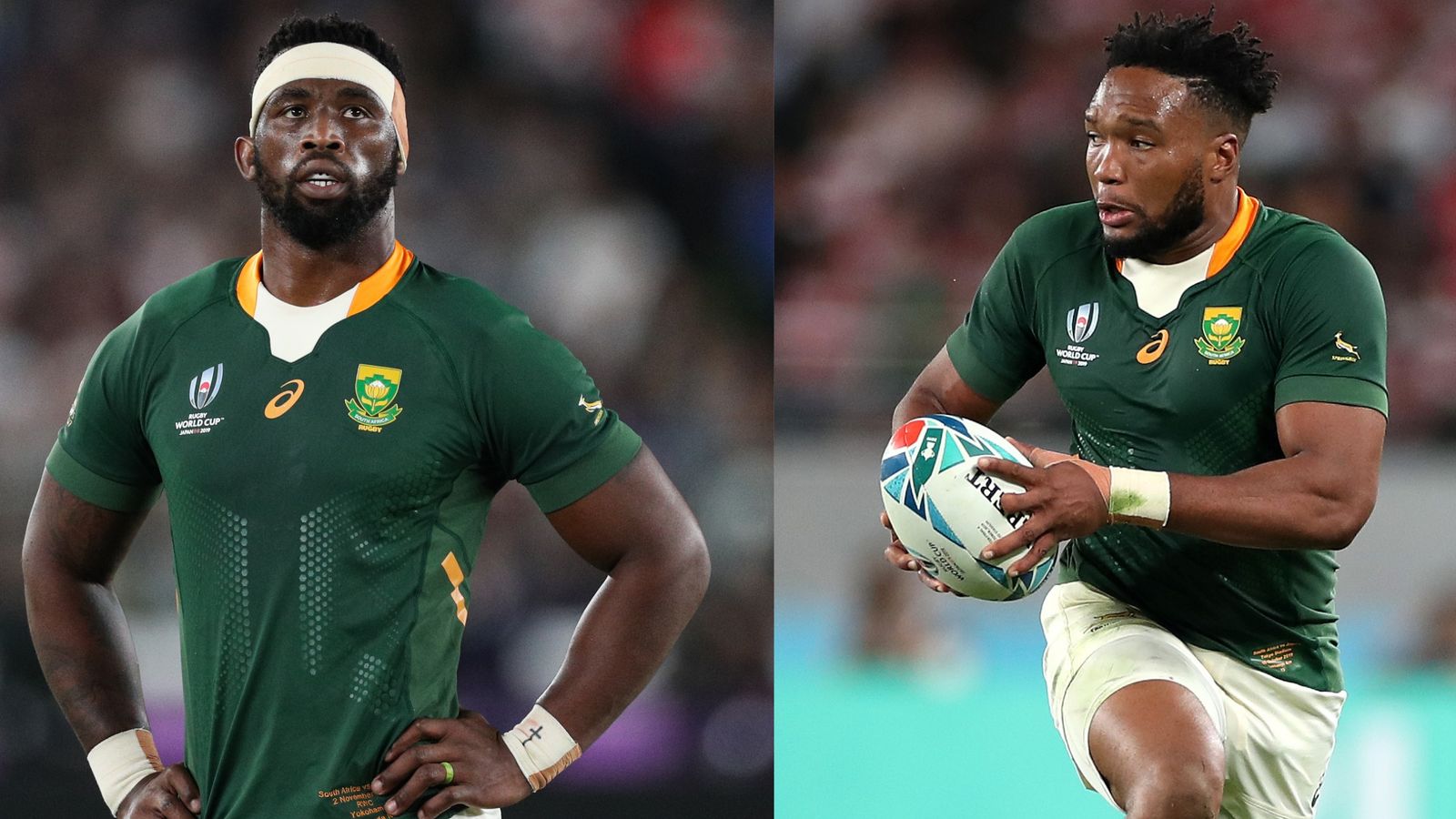 Springbok Showdown: A high-scoring rugby celebration