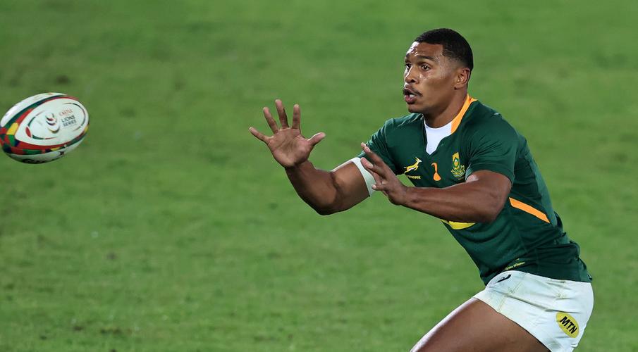 Watch: Willemse the hero the Boks need